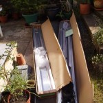 Greenhouse frame in boxes