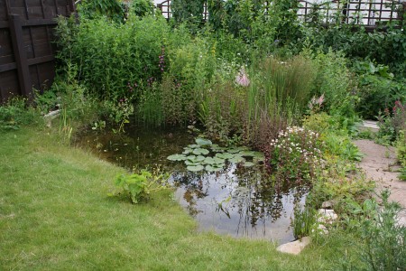 The pond on its second birthday in 2007