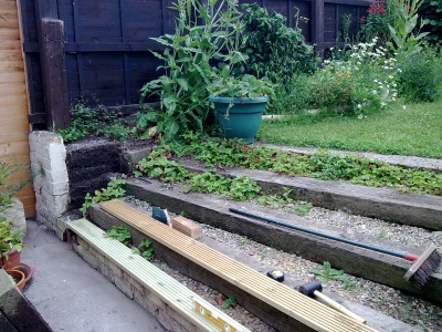 Starting to build raised beds and clad steps